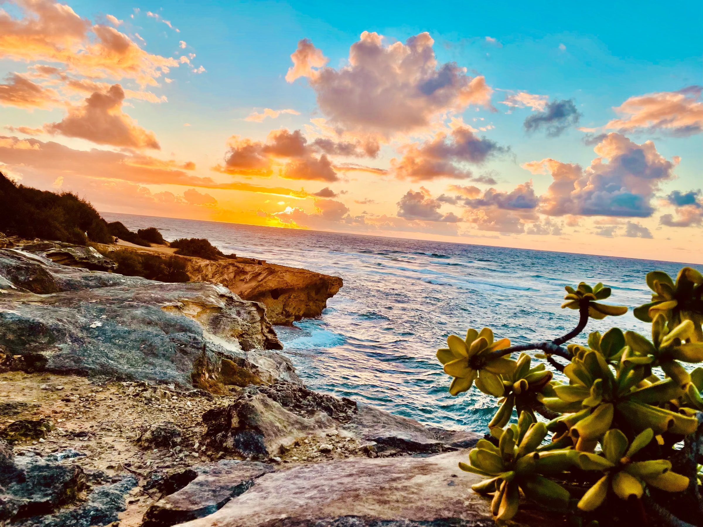 Hawaii sunrise over the ocean with rocky coastline and green plants.